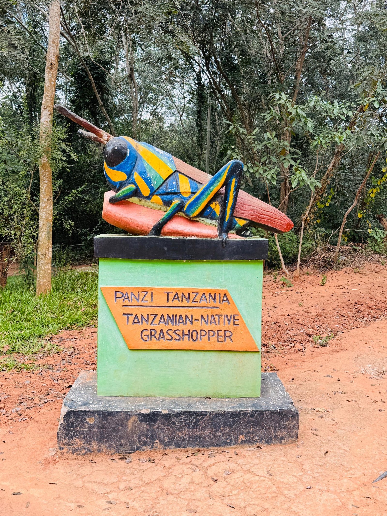 Colorful wooden sculpture of a Tanzanian native grasshopper, Panzi Tanzania