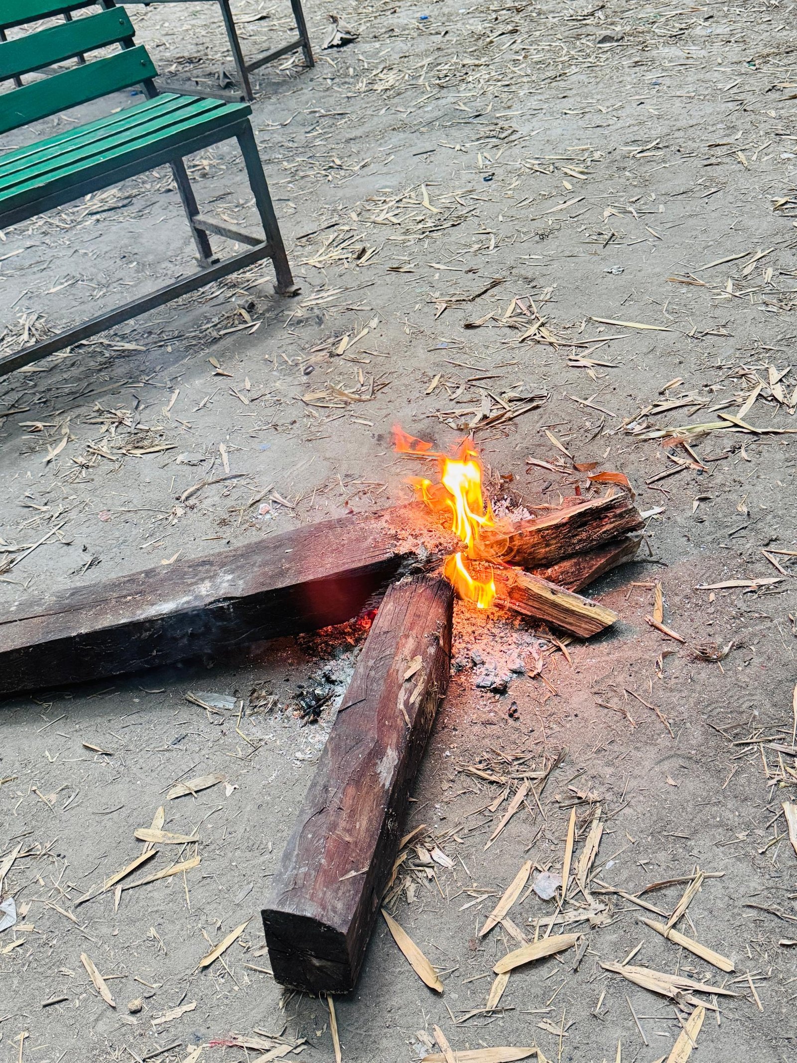 Campfire burning on the ground near a bench at the eco camp